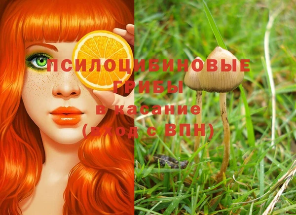 PSILOCYBIN Наволоки