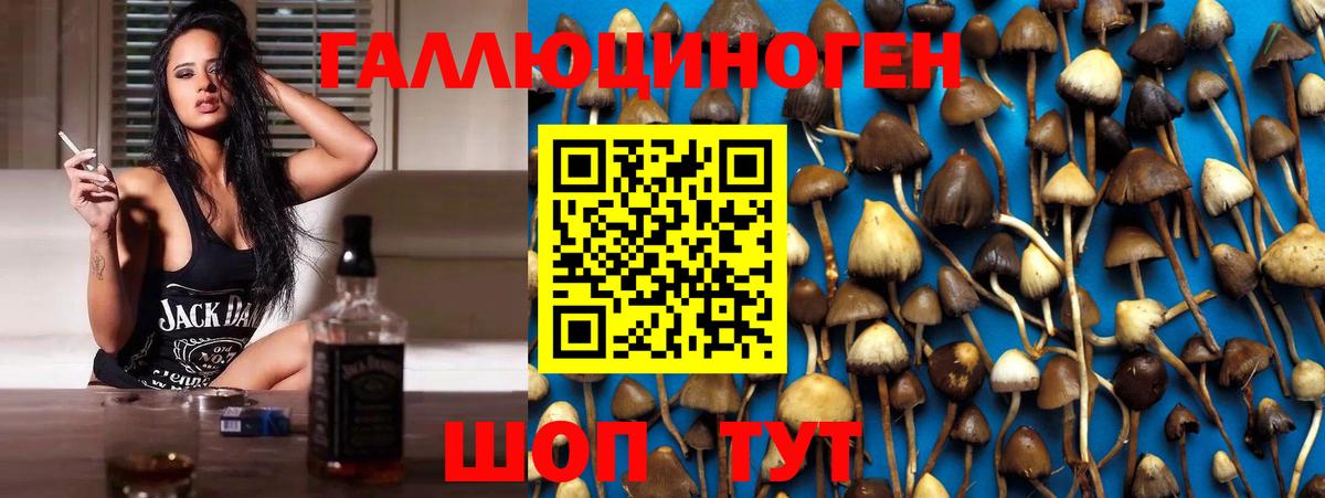 Метадон  Cocaine  Новосибирск  МАРИХУАНА  А ПВП СК   Вход с VPN  Мефедрон   КОКАИН  ГЕРОИН 